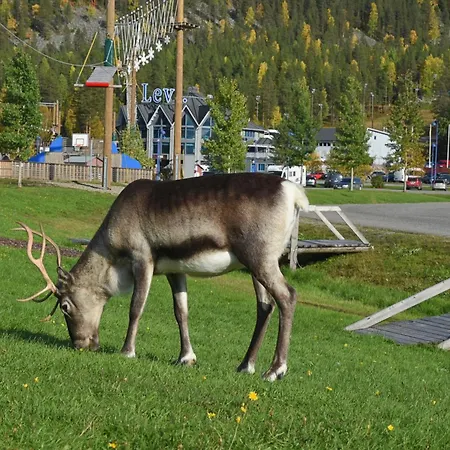 Onnenpesae 8 Horská chata *