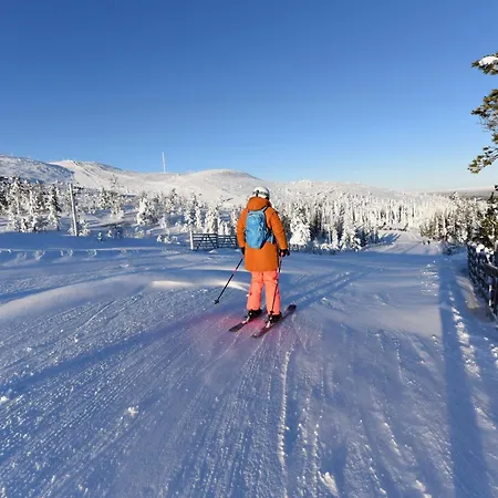 Onnenpesae 8 Center 3,8 Km Incl Wifi, Sauna, Washing Machine *