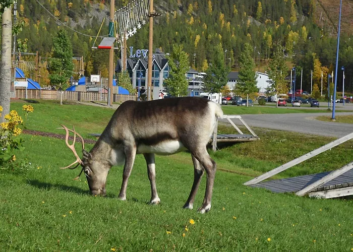 Onnenpesae 8 Chalet *