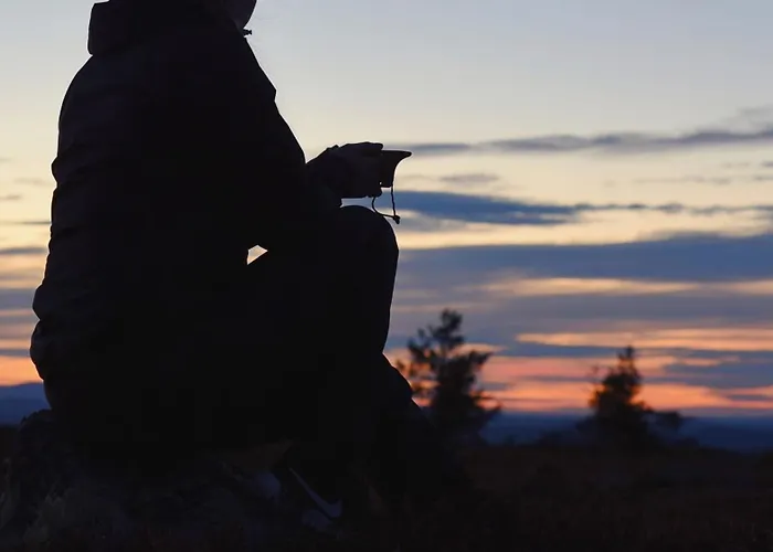 Onnenpesae 8 Chalet *